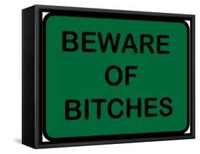 Beware of Bitches-null-Framed Stretched Canvas