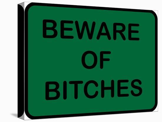 Beware of Bitches-null-Stretched Canvas