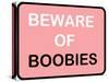 Beware of Boobies-null-Stretched Canvas