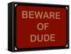 Beware of Dude-null-Framed Stretched Canvas