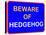 Beware of Hedgehog-null-Stretched Canvas