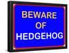 Beware of Hedgehog-null-Framed Poster