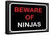 Beware of Ninjas-null-Framed Poster