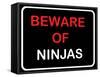 Beware of Ninjas-null-Framed Stretched Canvas