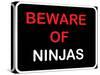 Beware of Ninjas-null-Stretched Canvas