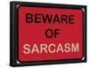 Beware of Sarcasm-null-Framed Poster