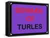 Beware of Turles-null-Framed Stretched Canvas