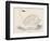 Bewick's Swan-Reverend Francis O. Morris-Framed Photographic Print