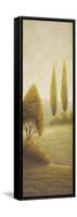 Beyond Elgin I (Evergreen Trees)-Michael Marcon-Framed Stretched Canvas