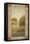 Beyond Elgin II-Michael Marcon-Framed Stretched Canvas