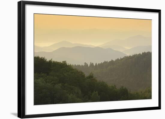 Beyond the Forests I-Staffan Widstrand-Framed Giclee Print