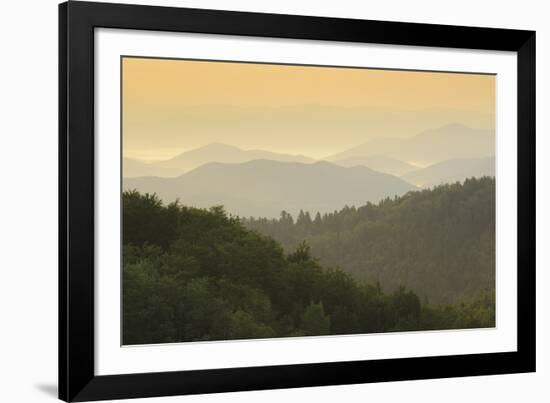 Beyond the Forests I-Staffan Widstrand-Framed Giclee Print