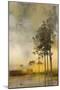 Beyond the Pines II-Ken Hurd-Mounted Giclee Print