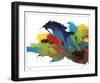 Beyond the Rainbow-Destiny Womack-Framed Limited Edition