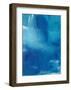 Beyond the Sea-Michelle Oppenheimer-Framed Art Print