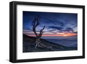 Beyond the Sky-null-Framed Premium Giclee Print