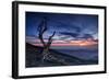 Beyond the Sky-null-Framed Premium Giclee Print