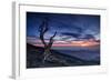 Beyond the Sky-null-Framed Premium Giclee Print