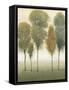 Beyond the Trees I-null-Framed Stretched Canvas