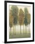 Beyond the Trees II-null-Framed Art Print