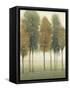 Beyond the Trees II-null-Framed Stretched Canvas