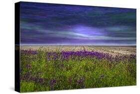 Beyond the Wildflower-Barbara Simmons-Stretched Canvas