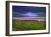 Beyond the Wildflower-Barbara Simmons-Framed Giclee Print