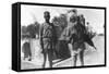 Bhistis, or Water Carriers, Agra, India, 1916-1917-null-Framed Stretched Canvas