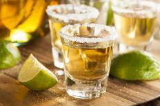 Tequila Shots with Lime and Salt-bhofack22-Photographic Print