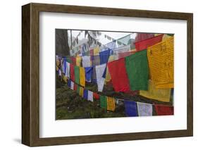 Bhutan. Prayer Flags at the Top of Dochula, a Mountain Pass-Brenda Tharp-Framed Photographic Print