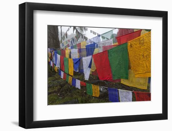 Bhutan. Prayer Flags at the Top of Dochula, a Mountain Pass-Brenda Tharp-Framed Photographic Print