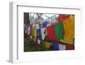 Bhutan. Prayer Flags at the Top of Dochula, a Mountain Pass-Brenda Tharp-Framed Photographic Print