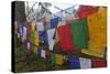 Bhutan. Prayer Flags at the Top of Dochula, a Mountain Pass-Brenda Tharp-Stretched Canvas