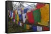 Bhutan. Prayer Flags at the Top of Dochula, a Mountain Pass-Brenda Tharp-Framed Stretched Canvas