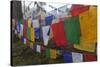 Bhutan. Prayer Flags at the Top of Dochula, a Mountain Pass-Brenda Tharp-Stretched Canvas