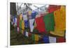 Bhutan. Prayer Flags at the Top of Dochula, a Mountain Pass-Brenda Tharp-Framed Photographic Print