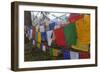 Bhutan. Prayer Flags at the Top of Dochula, a Mountain Pass-Brenda Tharp-Framed Photographic Print