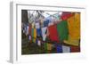 Bhutan. Prayer Flags at the Top of Dochula, a Mountain Pass-Brenda Tharp-Framed Photographic Print