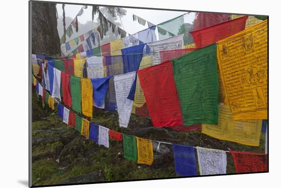 Bhutan. Prayer Flags at the Top of Dochula, a Mountain Pass-Brenda Tharp-Mounted Photographic Print