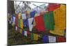 Bhutan. Prayer Flags at the Top of Dochula, a Mountain Pass-Brenda Tharp-Mounted Photographic Print