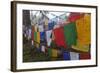 Bhutan. Prayer Flags at the Top of Dochula, a Mountain Pass-Brenda Tharp-Framed Photographic Print