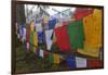 Bhutan. Prayer Flags at the Top of Dochula, a Mountain Pass-Brenda Tharp-Framed Premium Photographic Print