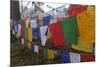 Bhutan. Prayer Flags at the Top of Dochula, a Mountain Pass-Brenda Tharp-Mounted Premium Photographic Print