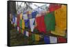 Bhutan. Prayer Flags at the Top of Dochula, a Mountain Pass-Brenda Tharp-Framed Stretched Canvas