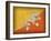 Bhutan-David Bowman-Framed Giclee Print