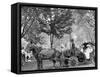 Bi-Centenary Celebration, Floral Parade, Carriage of Mrs. D.G. Swift, Detroit, Mich.-null-Framed Stretched Canvas