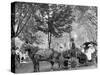 Bi-Centenary Celebration, Floral Parade, Carriage of Mrs. D.G. Swift, Detroit, Mich.-null-Stretched Canvas