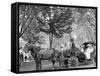 Bi-Centenary Celebration, Floral Parade, Carriage of Mrs. D.G. Swift, Detroit, Mich.-null-Framed Stretched Canvas