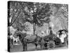 Bi-Centenary Celebration, Floral Parade, Carriage of Mrs. D.G. Swift, Detroit, Mich.-null-Stretched Canvas