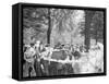 Bi-Centenary Celebration, Floral Parade, Carriage of Mrs. F.F. Ingram, Detroit, Mich.-null-Framed Stretched Canvas